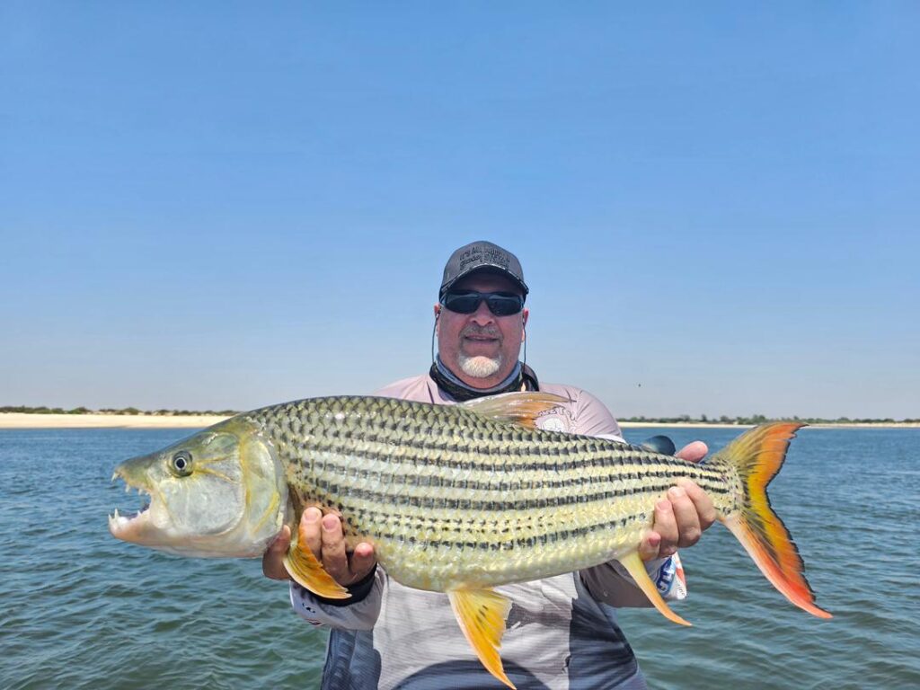 Tigerfish Kubu and Kwena